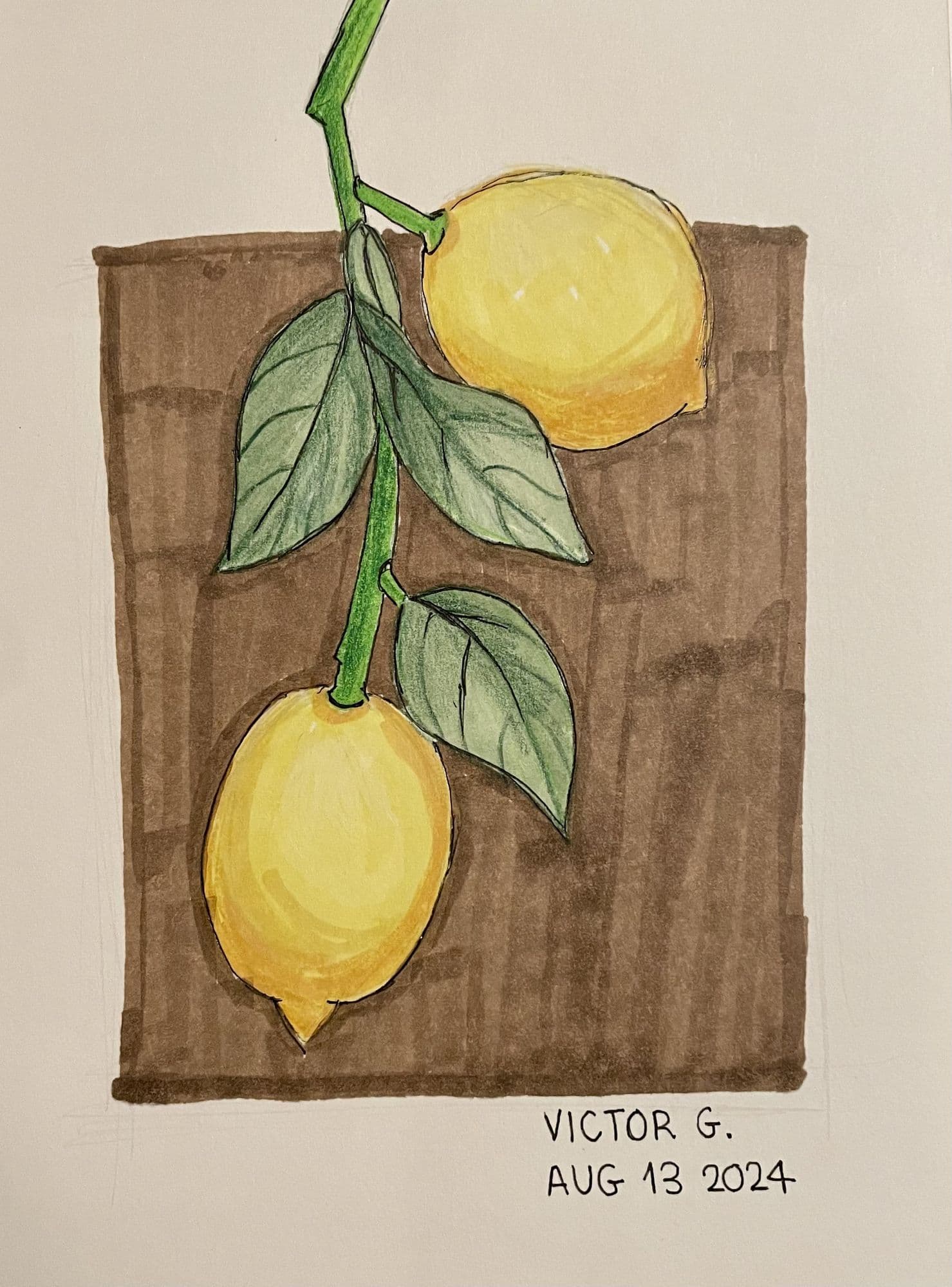 Lemons Study