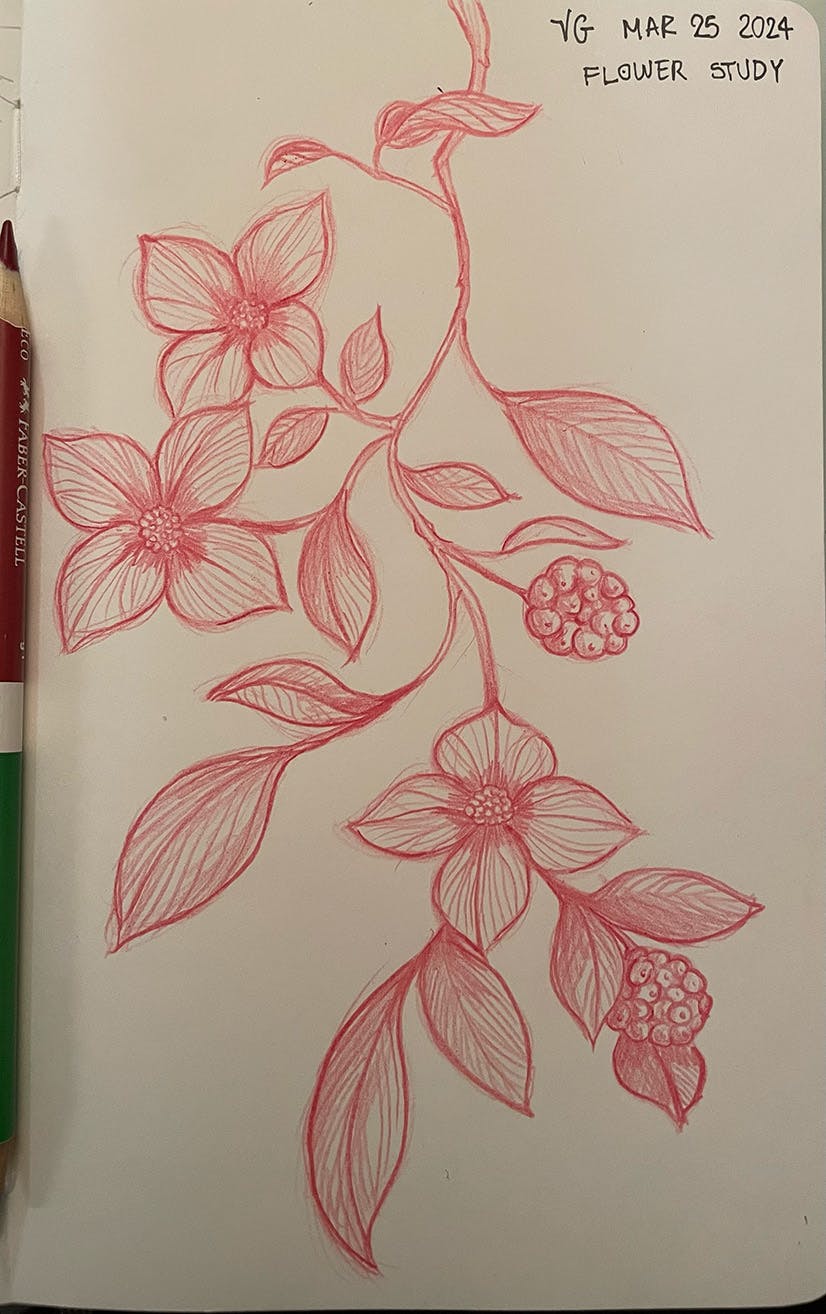 Floral Study